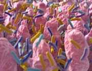 “الميكروبات” تقي من “الصرع”