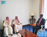 رئيس جمهورية الصومال يستقبل نائب وزير الخارجية