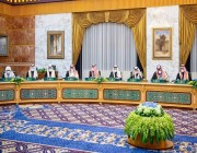 مجلس الوزراء يوافق على سلم رواتب الوظائف الدبلوماسية الجديد