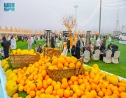 مهرجان “حمضيات حائل ” يختتم فعالياته وسط حضور كثيف