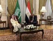 وزير الخارجية يرأس "التشاور السياسي" بين المملكة ومصر