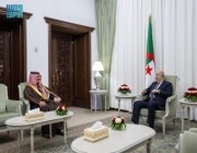 وزير الداخلية يبحث "التعاون الأمني" مع الجزائر