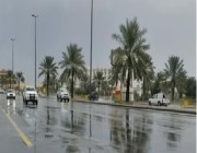 الأرصاد عن طقس الأحد: أمطار رعدية ورياح نشطة على عدة مناطق
