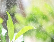 “البيئة”: 7 مناطق تشهد هطول أمطار اليوم والشرقية الأعلى كمية بـ 53.6 ملم