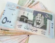 سعر الريال السعودي اليوم الأحد 8-8-1445 مقابل الجنيه المصري والعملات العربية
