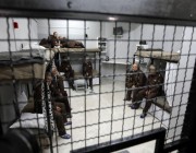 هيئة الأسرى الفلسطينية: الاحتلال يجوّع الأسرى الفلسطينيين داخل المعتقلات