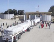 إدخال 243 شاحنة مساعدات إنسانية إلى قطاع غزة من ميناء رفح