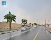 «الأرصاد»: استمرار حالة هطول أمطار غزيرة على محافظة العلا