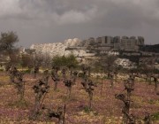 الأمم المتحدة: توسع إسرائيل في بناء مستوطنات الضفة الغربية “جريمة حرب”