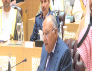 وزير الخارجية المصري: حرب غزة  كشفت عجز المجتمع الدولي عن وقف إطلاق النار