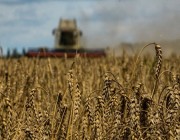 الاتحاد الأوروبي يوافق على تشديد القيود على الواردات الزراعية الأوكرانية