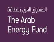 الصندوق العربي للطاقة يعلن برنامج تطوير الخريجين 50+