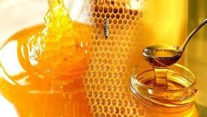 النمر يوضح.. هل يرفع العسل الطبيعي السكر في الدم؟