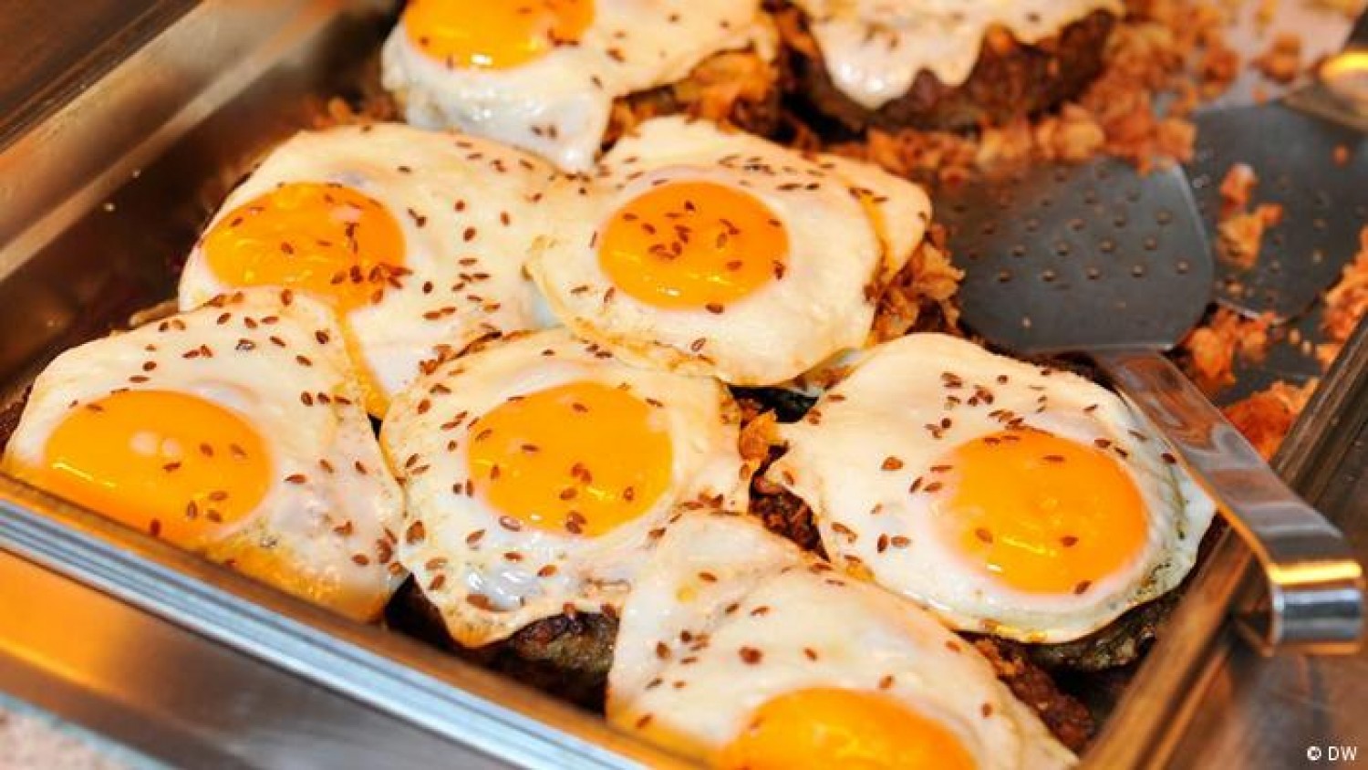 «البيض» غذاء رائع ومهم لكبار السن.. تعرف على السبب