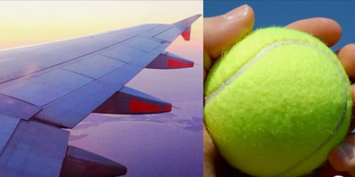 لسبب غريب.. عليك اصطحاب كرة تنس أثناء السفر بالطائرات