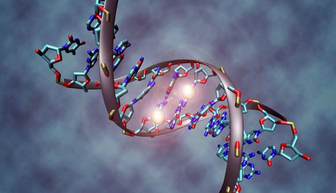 حلقة في الحمض النووي للإنسان تدمر السرطان