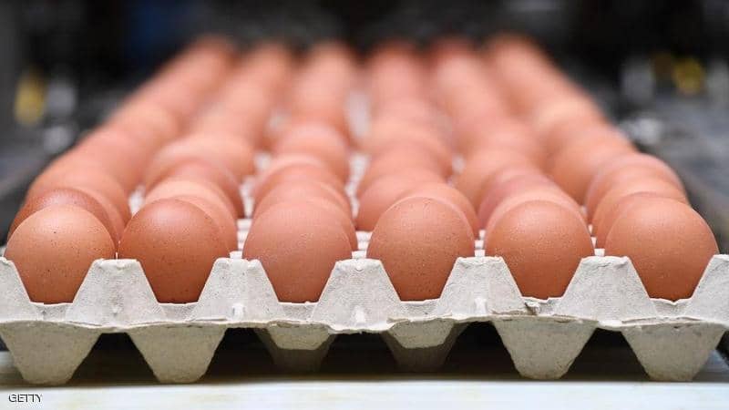 17 مليون دجاجة ضاعت.. البيض “يضرب” الاقتصاد التركي