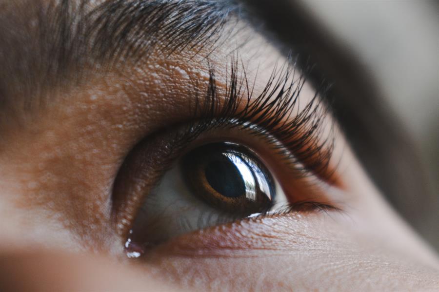 للوقاية من أمراض العيون.. 10 أطعمة لها فائدة كبيرة لصحة العين