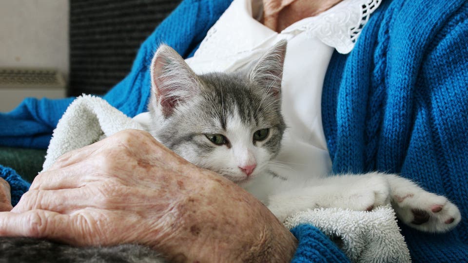 دراسة: الحيوانات تساعد المسنين في السيطرة على الآلام المزمنة