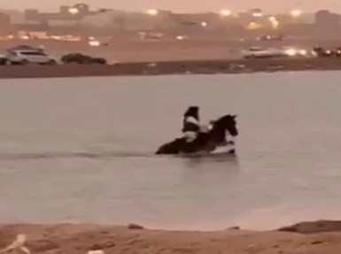 شاهد.. لقطة مؤثرة لحصان يغرق بعدما جازف صاحبه بعبوره مستنقع الحفر