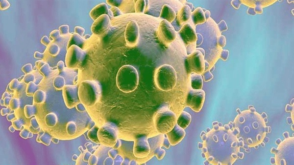 دراسة صينية تكشف السبب وراء فيروس كورونا الجديد