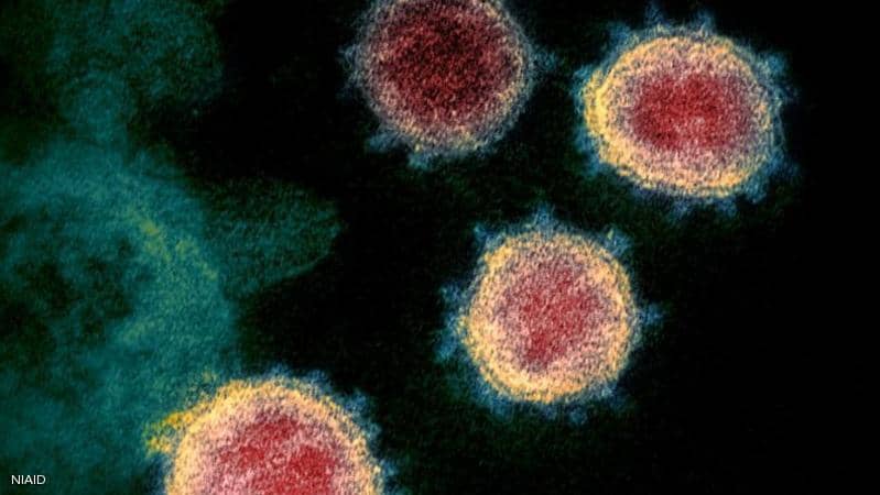 دراسة جديدة تكشف “عُمر فيروس كورونا” في الهواء وعلى الأسطح