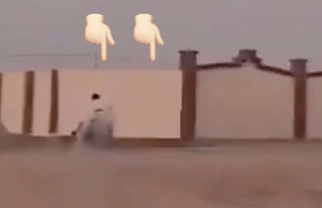 شاهد: شاب سعودي يمتطي حصانا مسرعا  .. والنهاية مأساوية