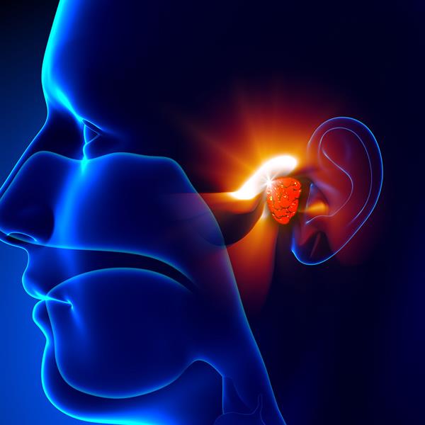 منها فقدان السمع .. “فهد الطبية” تحذر من مخاطر “الورم الكوليسترولي” وتوضح أعراضه ومضاعفاته