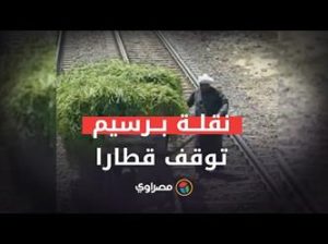 "عربة برسيم" تقطع طريق قطار في مصر ويقظة السائق تنقذ الموقف