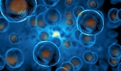“الصحة” توضح حقيقة معالجة الخلايا الجذعية للسكري ومقاومتها للشيخوخة