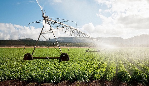موسم ” محاصيلنا الزراعية ” يدعم رائدات الأعمال والأسر المنتجة عبر الفعاليات المصاحبة