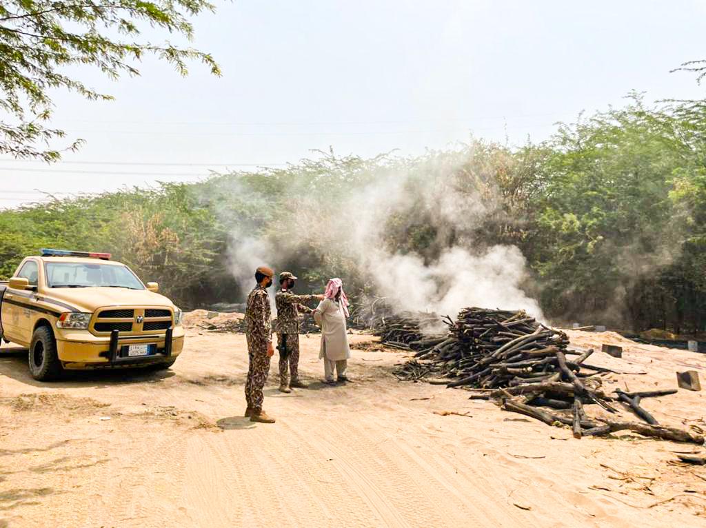 ضبط 3 مخالفين لنظام البيئة قطعوا الأشجار وحولوها إلى فحم  في مكة