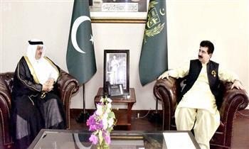 الرئيس الباكستاني يستقبل سفير المملكة