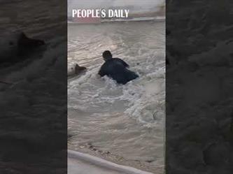 ضباط شرطة ينقذون مجموعة من الماشية سقطت في مياه جارية بالصين