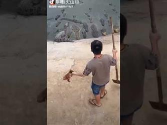 تمساح يهاجم شاباً حاول إطعام التماسيح في بحيرة
