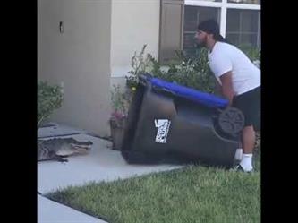 رجل يتخلص بذكاء من تمساح وجده عند باب بيته في فلوريدا الأمريكية