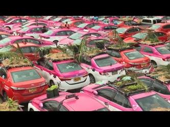 سيارات التاكسي في بانكوك تتحول لمعرض للنباتات والبساتين