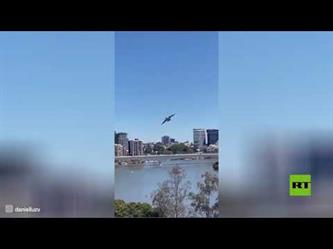 طائرة عسكرية تجري مناورة خطيرة بين ناطحات سحاب في أستراليا