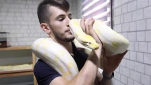 شاب فلسطيني يربي أخطر وأضخم أنواع الثعابين في منزله... فيديو