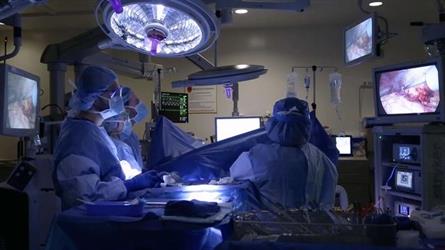 جراحون أمريكيون ينجحون في اختبار زرع كلية خنزير في مريضة من البشر