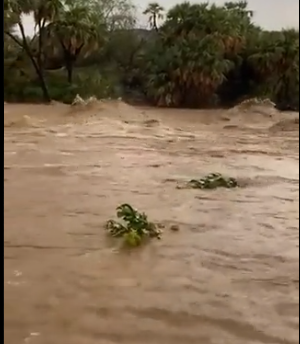 الأمطار والسيول تٌغرق طريق الحقو الريث في جازان (فيديو)