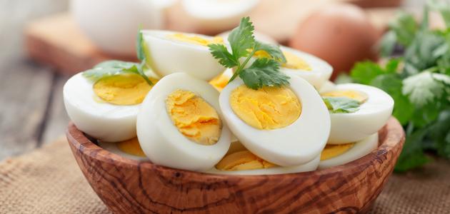 دراسة تحذر من خطورة تناول 3 بيضات في الأسبوع