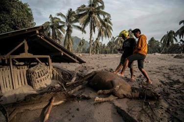 14 قتيلا في ثوران بركان سيميرو الإندونيسي واستمرار البحث عن مفقودين