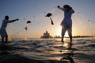 “البيئة”: تسجيل 43% من ممارسي مهنة صيد الأسماك في برامج المهن الحرة