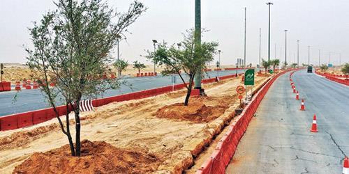 أمانة الرياض تزرع 12 ألف شجرة في العاصمة لتخفيض الحرارة وتحسين المشهد الحضري