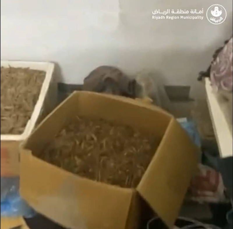 فيديو|“عود طبيعي” مغشوش يتسبب في الإطاحة بوافدين في الرياض