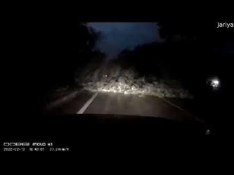 قائد مركبة يفاجأ بسقوط شجرة أمامه على طريق سريع في تايلاند