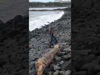 أمريكيان ينقذان غزالاً سقط في منطقة صخرية بجوار نهر
