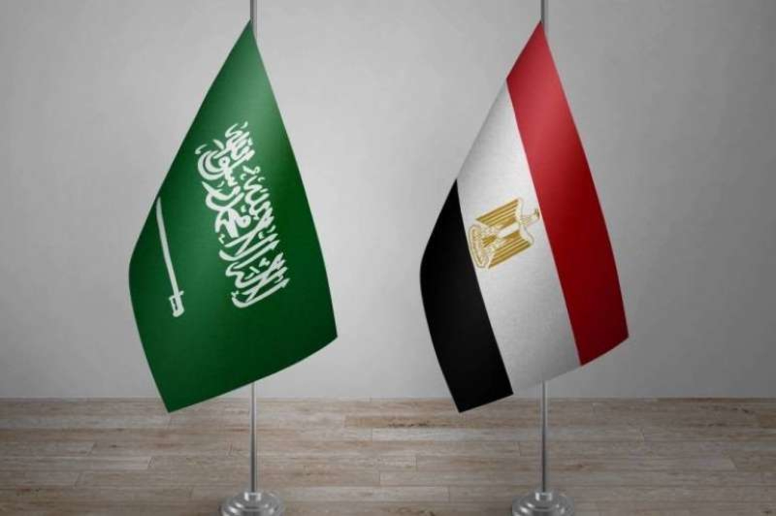 خبيرة اقتصاد: مساندة السعودية لمصر تبرز أبعاد جديدة في التكامل العربي