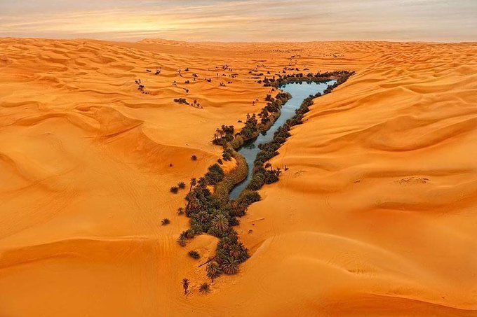 واحات المذنب .. لوحة من جمال الصحراء